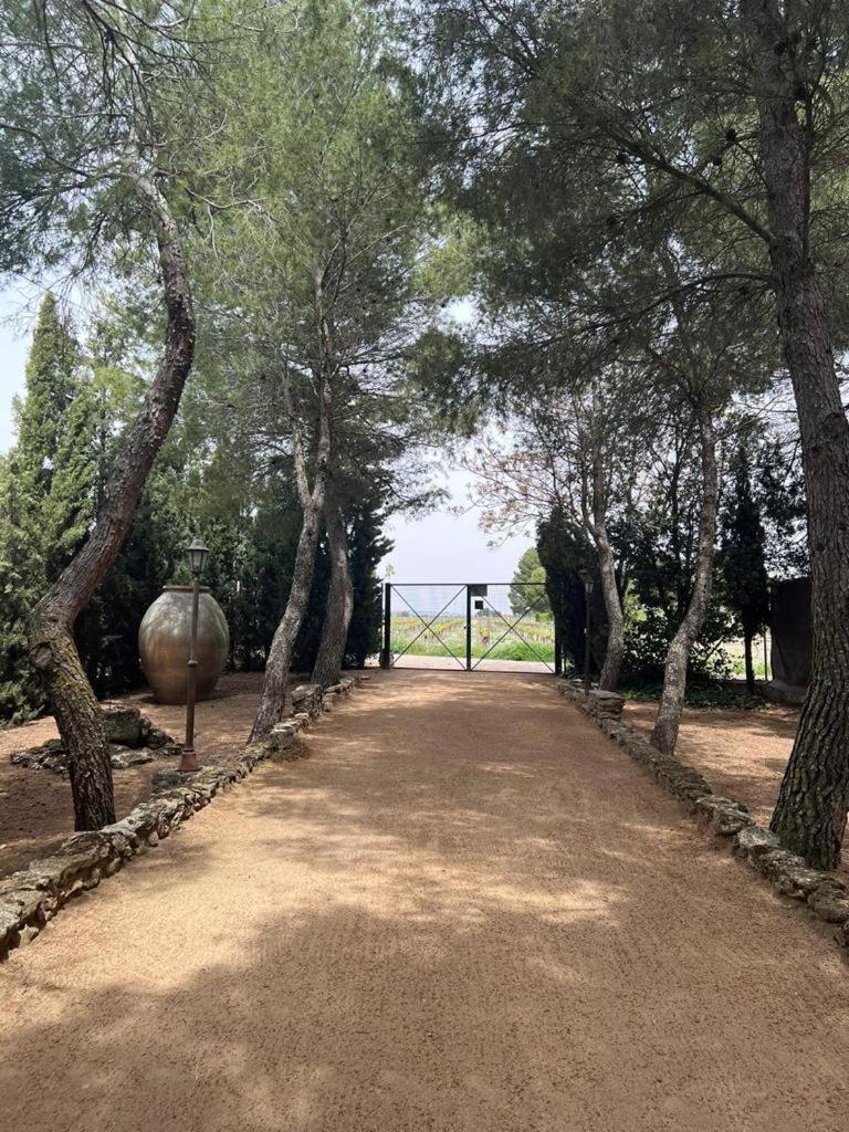 Landhaus Molinos La Alameda de Cervera