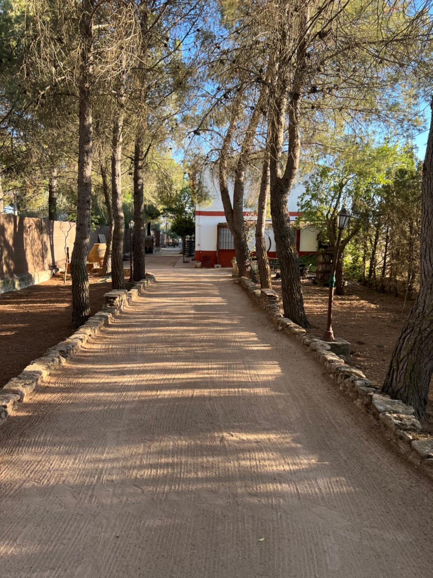 Molinos Landhaus La Alameda de Cervera